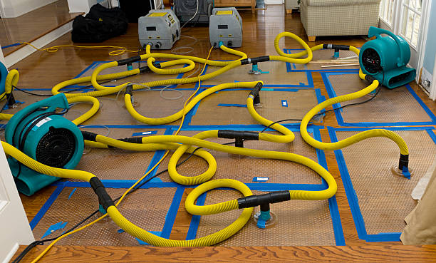 Professional Crawl Space Water Removal technician working in Chisholm, ME